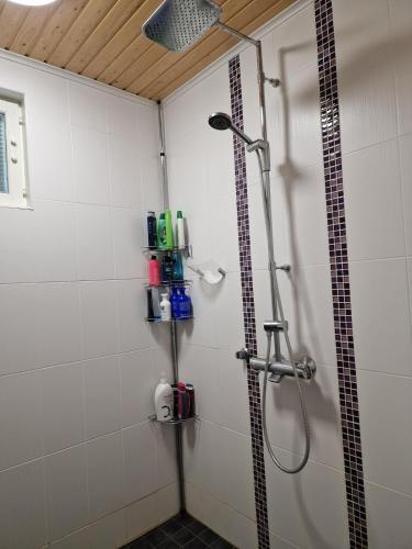 a shower in a bathroom with a glass door at Koivikko in Kangasala