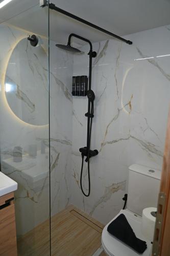 a shower in a bathroom with a toilet at B & G's LOFT in Karpenisi