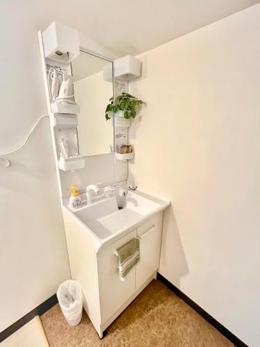a bathroom with a sink and a mirror at CatNook 猫ちぐら in Matsumoto