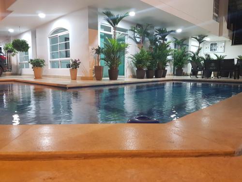 a swimming pool in a building with potted plants at Palmagua in Barranquilla