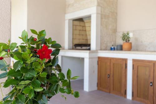 a kitchen with a red flower in a vase at Villa Flora in Kršan