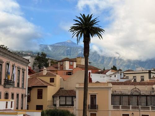 a palm tree in a city with mountains in the background at Emblematic Canarian House in La Orotava
