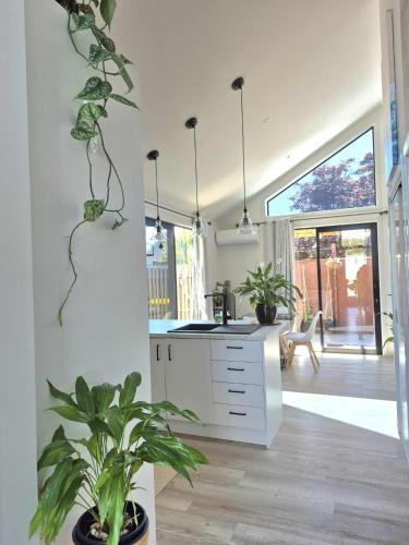 a kitchen with potted plants on the wall at Amie's Charming Villa in Tauranga