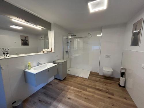 ein Badezimmer mit Waschbecken, Dusche und Toilette in der Unterkunft Ferienwohnung in Erfurt