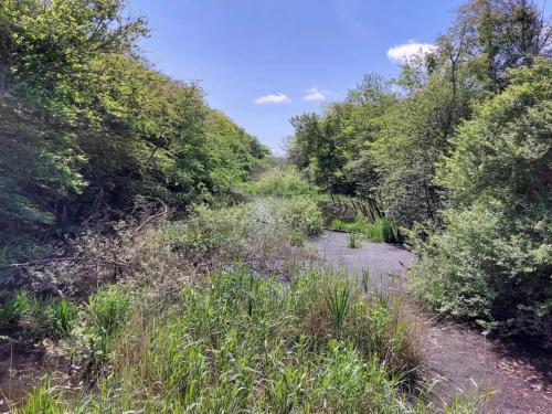 Příroda nedaleko prázdninového domu