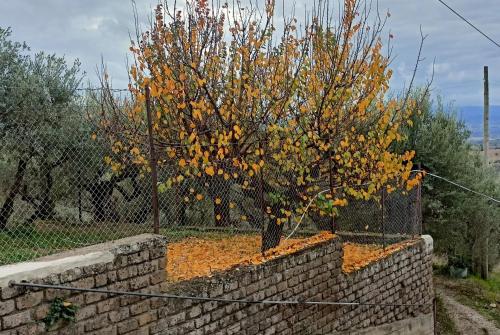 Galería fotográfica de Romantic suite in the village of Castelleone, vicino Deruta, Assisi, Perugia, Montefalco en Canalicchio