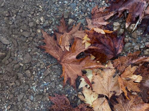 Fotografie z fotogalerie ubytování Capris Rustic Ηouse with Mountain View v destinaci Archaia Feneos