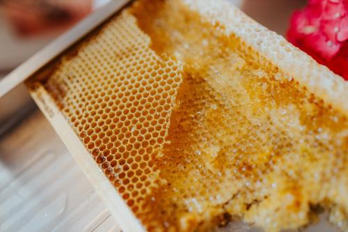 Fotografie z fotogalerie ubytování Hotel Adria v Lignanu Sabbiadoru