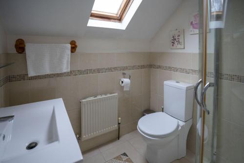 een badkamer met toilet en wastafel bij Halyon Village in Greencastle