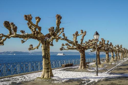 Naturlandskabet i nærheden af lejligheden