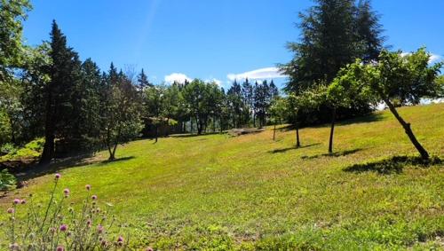 Příroda nedaleko bed and breakfast