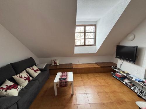 TV a/nebo společenská místnost v ubytování Alojamiento esqui montaña Cofiñal