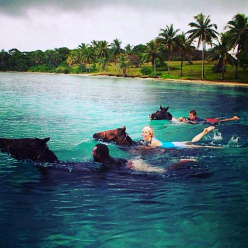 a group of people and dogs in the water at Ratua Private Island Resort in Aimbuei Bay
