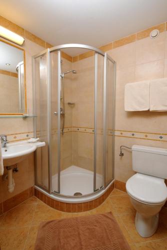 a bathroom with a shower and a toilet and a sink at Jagdhaus in Mayrhofen