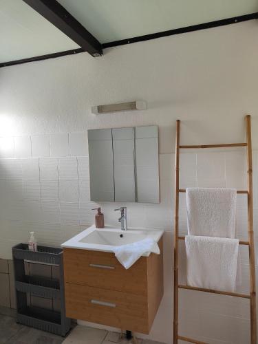 a bathroom with a sink and a mirror at auberge la fermette in Le Tampon
