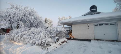 Unique Villa Tikkuri om vinteren