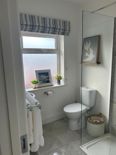 a bathroom with a toilet and a window at Carnglas, Gweedore, County Donegal in Donegal