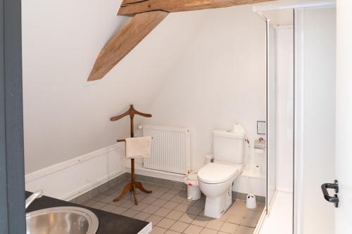 een badkamer met toilet en wastafel bij Maison 4 in Souvigny