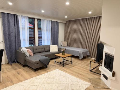 un soggiorno con un divano e una TV di Apartment Kaarto a Seinäjoki