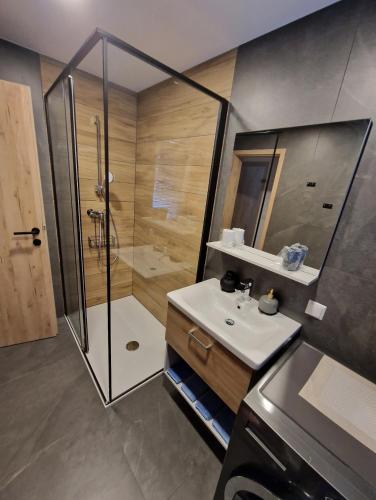 a bathroom with a shower and a sink at Apartma Kreda in Mojstrana
