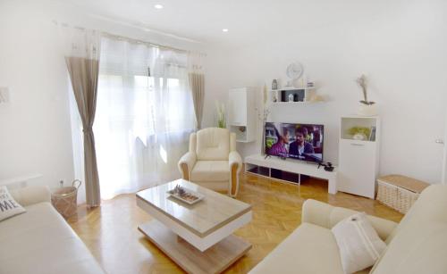 Spacious apartment in Umag with garden