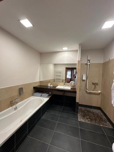 Vannituba majutusasutuses Logis Hostellerie des Ducs