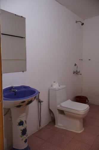 帕特南Mountain Palm patnem beach的带马桶和水槽的浴室