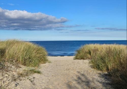 a sandy beach with the ocean in the background at Apartmenthaus-Usedom Kajüte 10 in Kolpinsee