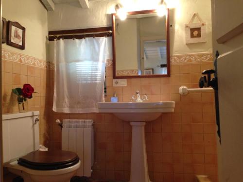 a bathroom with a sink and a toilet and a mirror at Casa Rural El Fortin in Gata