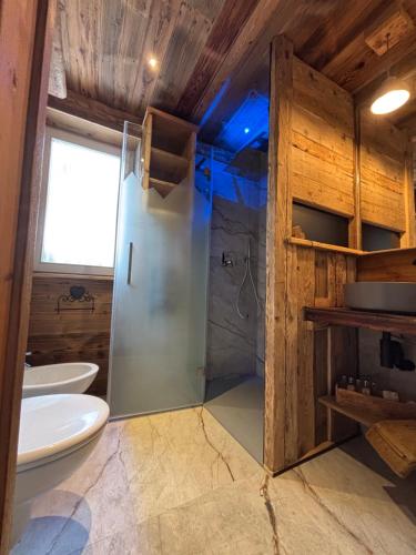 een badkamer met een douche, een toilet en een wastafel bij La Tana dell'Orso in Campitello di Fassa