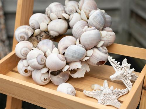 Φωτογραφία από το άλμπουμ του Stunning apartment in Schoorl, North Hollandâ you can bike to the beach σε Schoorl