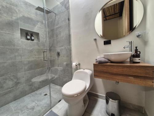 a bathroom with a toilet and a sink and a mirror at Pepe's House Usaquén Bogotá - Small Hotel in Bogotá