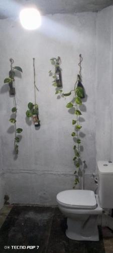 a bathroom with a toilet and plants on the wall at Villa Tharu in Hikkaduwa