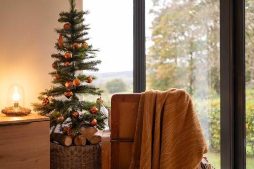 a christmas tree in a basket next to a window at Beautiful Luxury one bedroom retreat in Far Sawrey in Far Sawrey