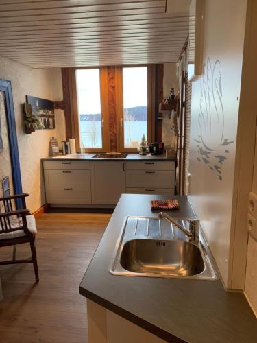 a kitchen with a stainless steel sink and a counter at Gästehaus zum Felsen in Überlingen