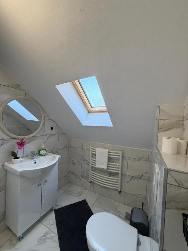een badkamer met een toilet en een dakraam bij Casa din lunca 2 in Poiana Mărului