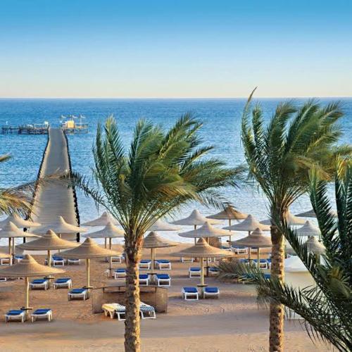 Snorkeling Paradise 5 Star Resort Stella Makadi