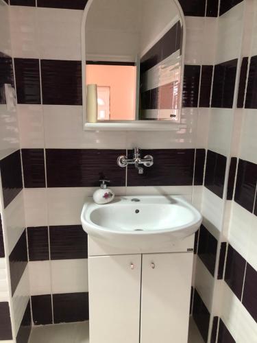 ein Badezimmer mit Waschbecken und Spiegel in der Unterkunft Danojlic 2 in Višegrad