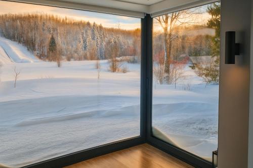 ein Fenster mit Blick auf ein schneebedecktes Feld in der Unterkunft Valdora - Forest Oasis 