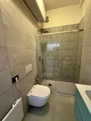 a small bathroom with a toilet and a shower at Sendy Home Roccaraso 1 in Roccaraso