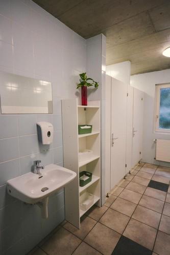 a white bathroom with a sink and a shelf at Alaïa Hostel in Sion