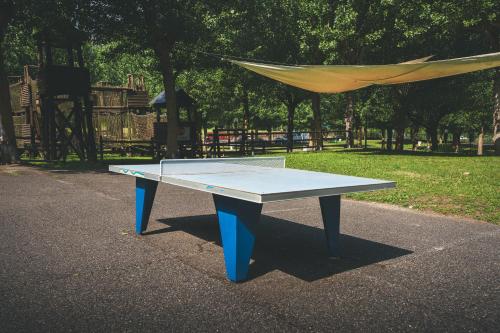 a ping pong table in front of a park at HolaCamp Aran Aventura in Les