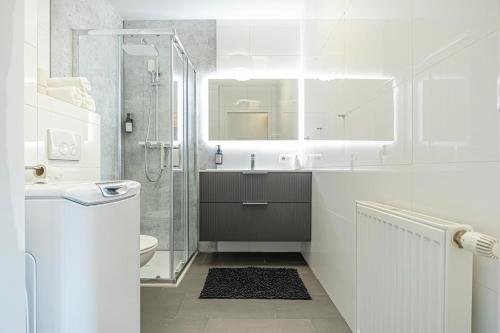 Stylish 1BR & 1Living Room Apartment in Vienna