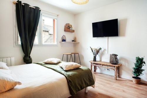 ein Schlafzimmer mit einem Bett und einem Flachbildfernseher in der Unterkunft Le nid Briochin studio au coeur de Saint-Brieuc in Le Légué