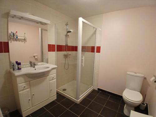 ein Badezimmer mit Dusche, Toilette und Waschbecken in der Unterkunft L'Atout de France in Fléré-la-Rivière