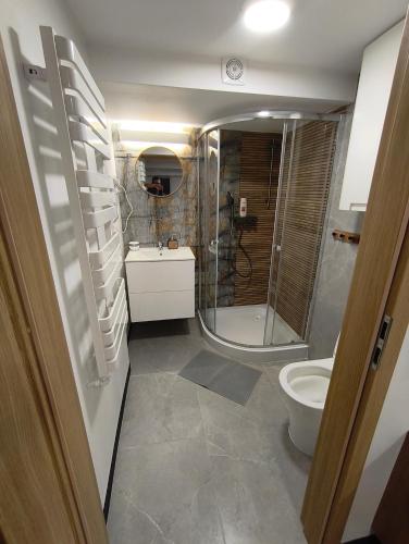 a bathroom with a shower and a sink and a toilet at Apartment typu suite LE BLEU in Płock
