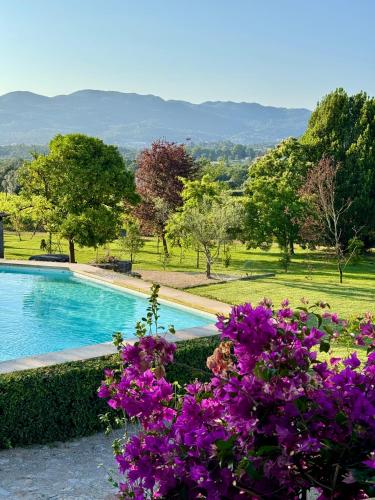 a swimming pool with purple flowers in front of it at As Casinhas, Slow Living in Minho Quinta in Fontão
