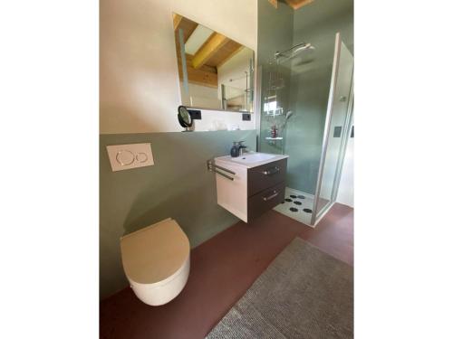 un bagno con wc, lavandino e doccia di Ferienwohnung Sußebach mit 80 Qm a Vöhringen