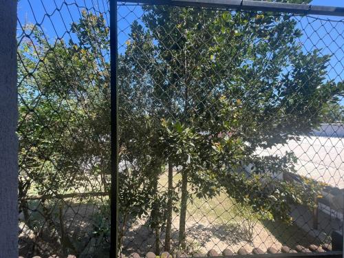 a tree behind a fence with a tree at Casa de Praia- Suíte São Lourenço in Bertioga
