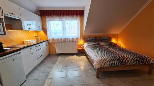 Η κουζίνα ή μικρή κουζίνα στο Csalogány Apartman Egerszalók